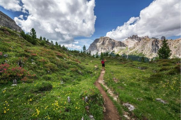 10 Must-Hike Trails For Beginners