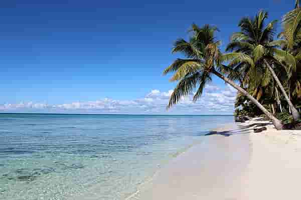 saona island